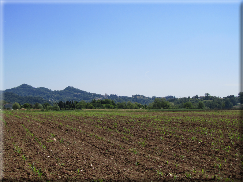 foto Paesaggi Collinari in Primavera